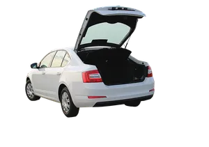 Rockland 3-pc Snow Leopard Luggage Set