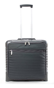 Rimowa Salsa Deluxe Hybrid Small Business